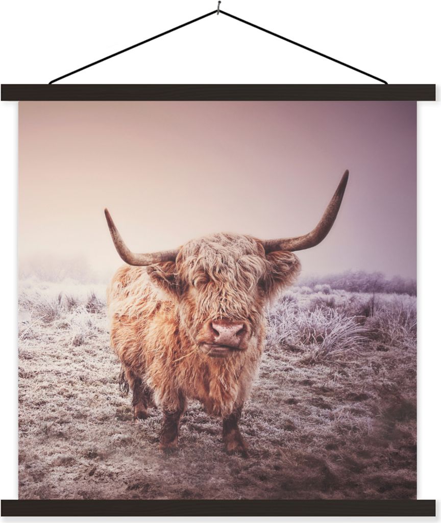MuchoWow Textilposter Schottische Hochlandbewohner - Licht - Himmel - Natur 120x120 cm mit schwarzem Rahmen - Aufhängungsset