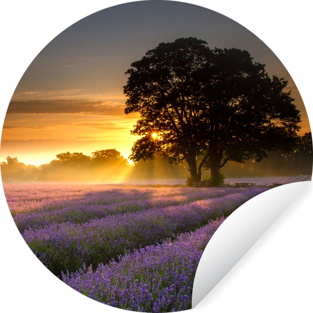 MuchoWow Runde Wandtattoo - Wandsticker Tapete Aufkleber Maifeld-Lavendelfelder bei nebligem Sonnenaufgang Ø 50 cm Selbstklebend und Repositioni...