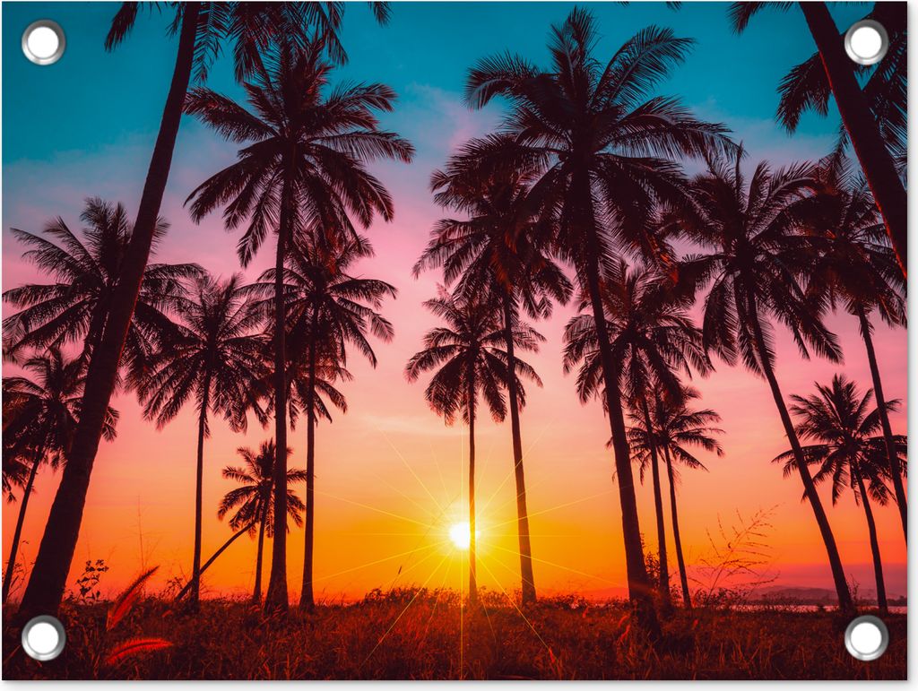 MuchoWow 40x30 cm Outdoor-Poster Gartendeko Sichtschutz Garten Poster für den Garten Palme - Sonnenuntergang - Horizont - Strand - Orange - Rosa