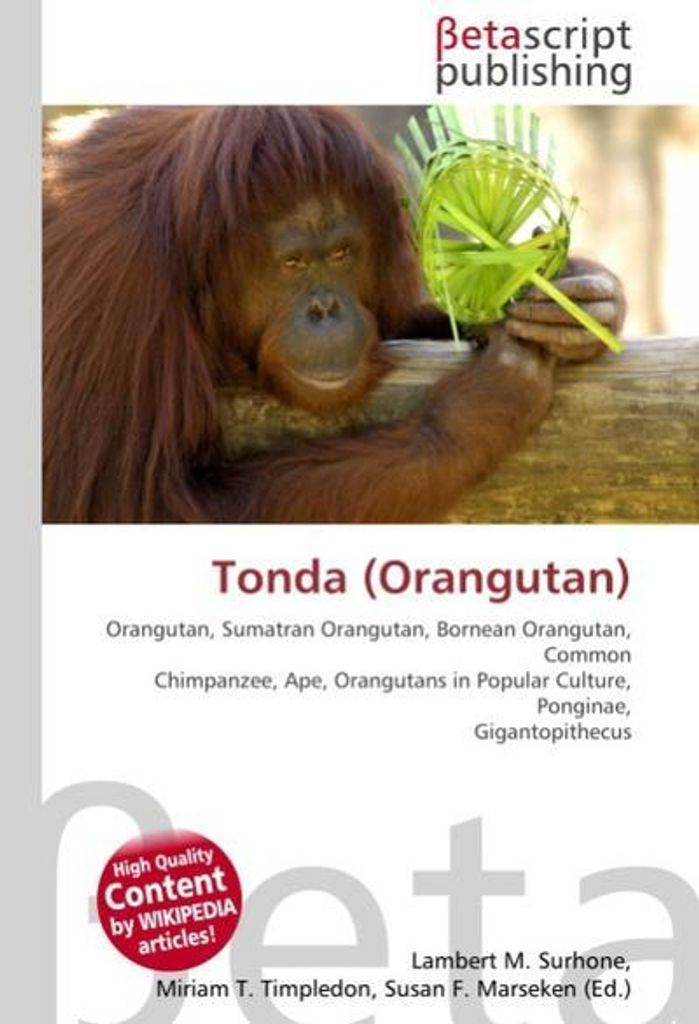 Tonda (Orangutan)