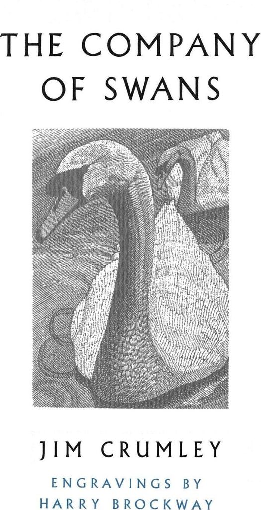 The Company of Swans