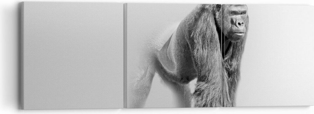 Bild auf Leinwand - Leinwandbild - Orang-Utan Tier - 90x30cm - Wand Bild - Wanddeko - Wandbilder - Leinwanddruck - Bilder - Kunstdruck - Wanddekora...