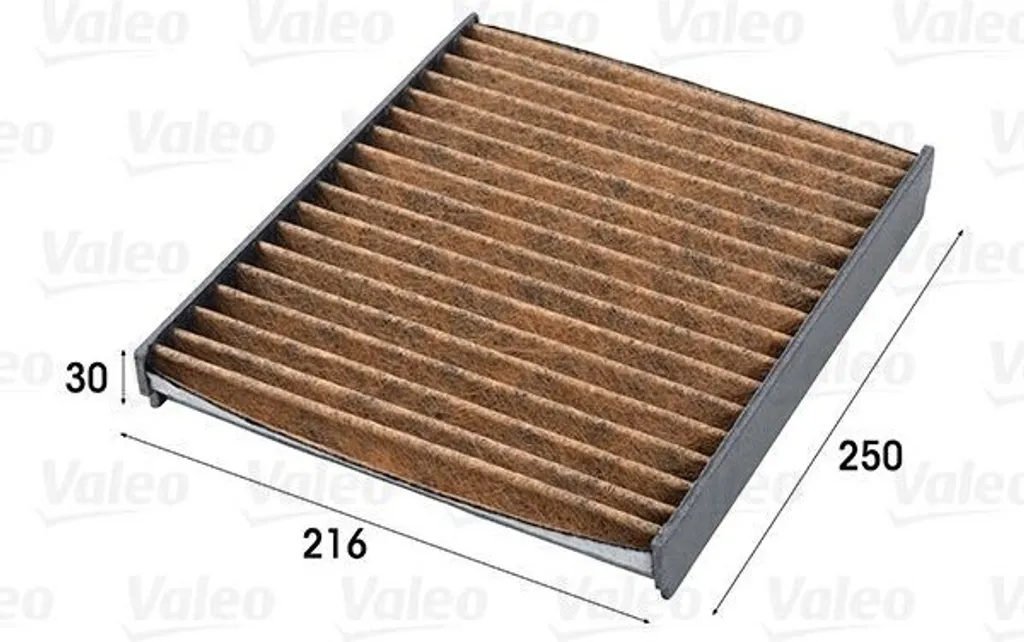 Valeo 701009 Filtre d'habitacle OE 6Q0819653 pour Polo 9N et Ibiza 6L