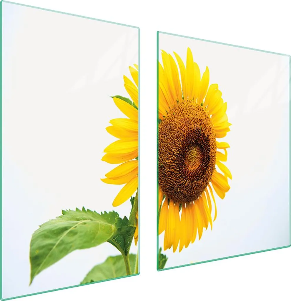 Copri Piastra Induzione 100x52 Vetro Girasole - Tagliere Multifunzione