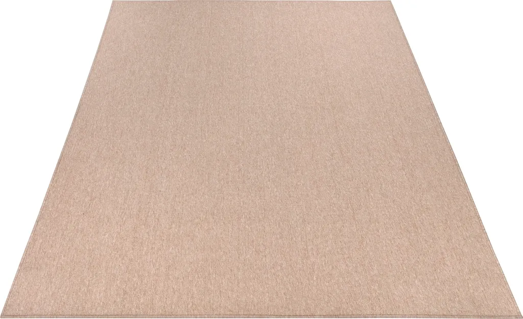 Grand Tapis de Salon Doux pour Famille et Animaux - Lavable Chiné