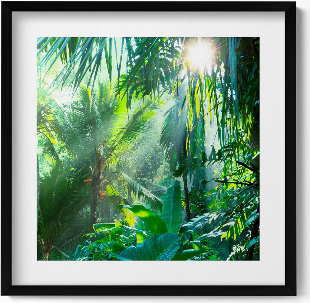 Grüner Dschungel voller Pflanzen– Wandbild mit Rahmen – Gerahmtes Bild – Wanddekoration – 50x50 cm – Schwarz Rahmen