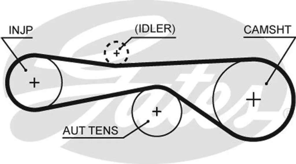 Courroie crantée haute résistance GATES 5614XS compatible VW Touareg
