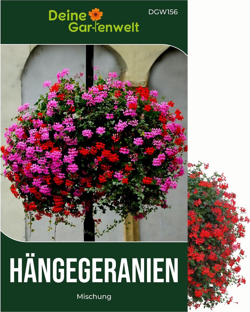 Hängegeranien Mischung Samen - Pelargonium peltatum - Petuniensamen - Blumensamen - Saatgut für 20 Pflanzen