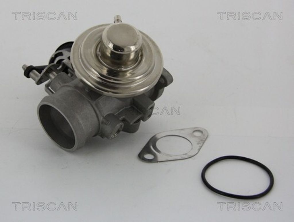 TRISCAN 8813 29001 AGR-Ventil mit Dichtungen für VW Golf IV Schrägheck (1J1) Abgasrückführungsventil