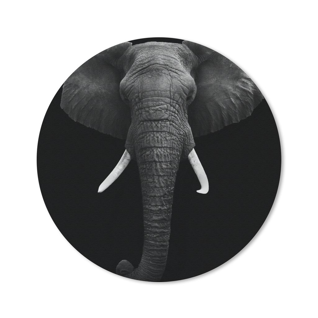 MuchoWow Mauspad Mousepad Elefant - Wildtiere - Schwarz - Weiß - Porträt 50x50 cm - Mousepads - Maus Mat - Pad - Mausunterlage - Vinyl
