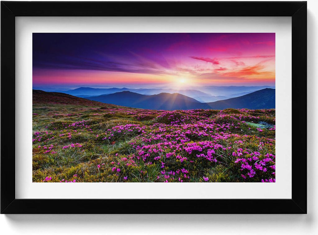 Blumen im Sonnenaufgang– Wandbild mit Rahmen – Gerahmtes Bild – Wanddekoration – 30x20 cm – Schwarz Rahmen