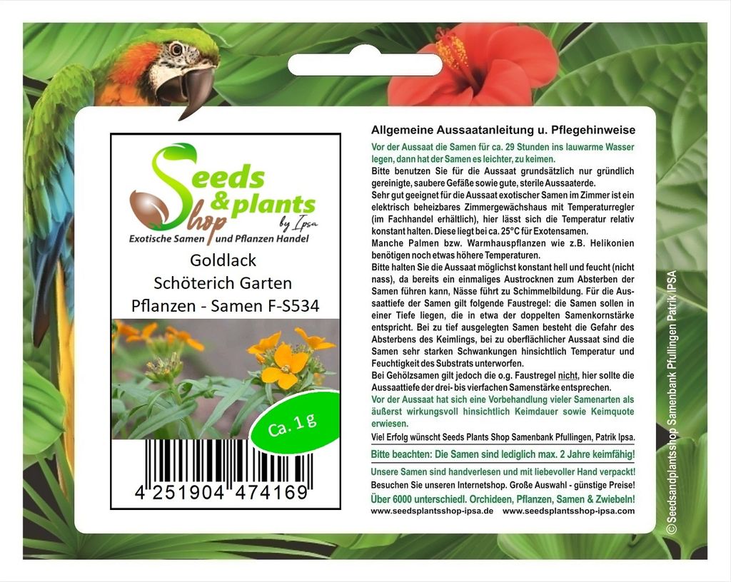 1 g Goldlack Schöterich Garten Pflanzen - Samen F-S534