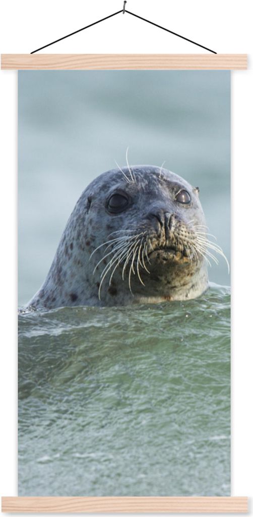 MuchoWow Textilposter Nordsee - Seehund - Wasser 40x80 cm mit holzfarbenen Rahmen - Wohnzimmer