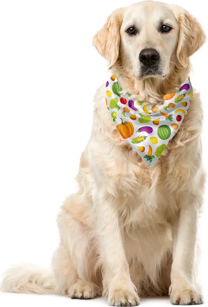 Bavaglino Cane Frutta ABAKUHAUS 40x40 - Bandana Divertente Pet