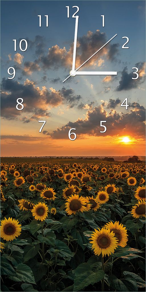 Wallario Design Wanduhr Sonnenblumenwiese vor Wolken mit Sonnenuntergang aus Echtglas, Größe 30 x 60 cm