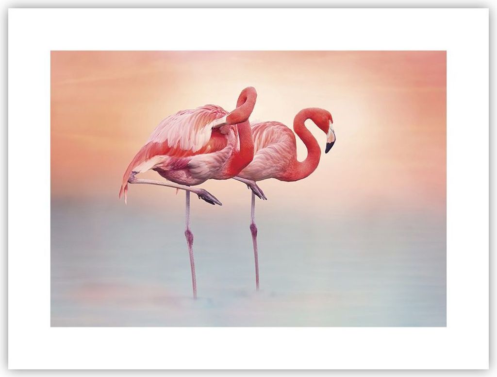 Poster - Poster ohne Rahmen - Flamingos Exotik Vögel - 40x30 cm - Wand Bild - Wanddeko - Wandbilder - Kunstposter - Wandposter - Bilder - Kunstdru...