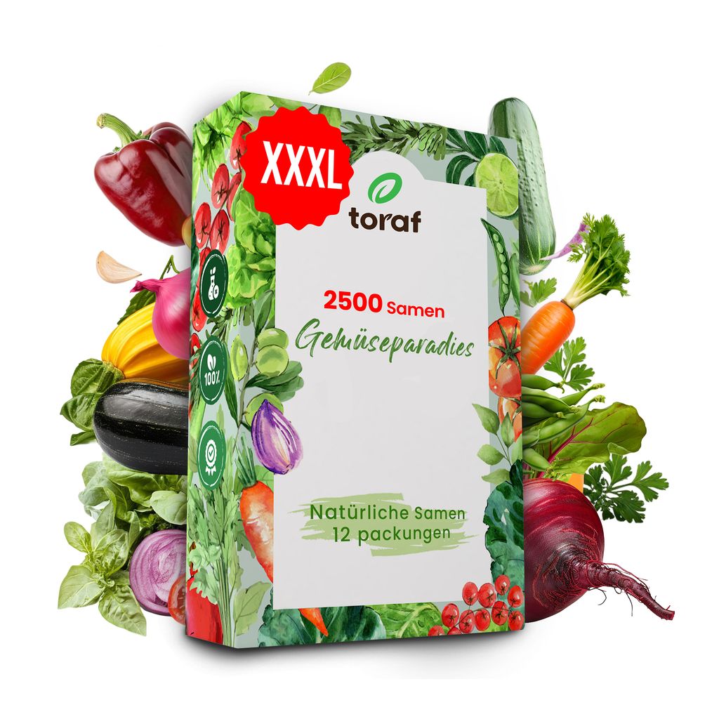 Toraf Gemüsesamen XXL Set 2500 Samen, Tomaten, Zwiebeln, Karotten, Petersilie, Gurken, Bohnen & mehr, 12 Sorten Saatgut