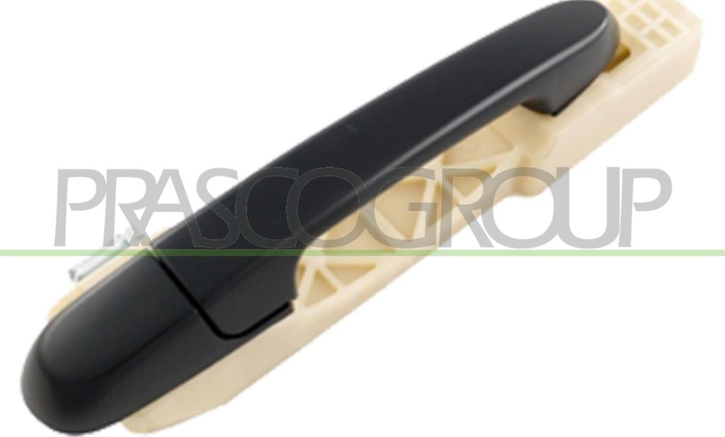 PRASCO HN0198103 Türgriff Hinten Rechts