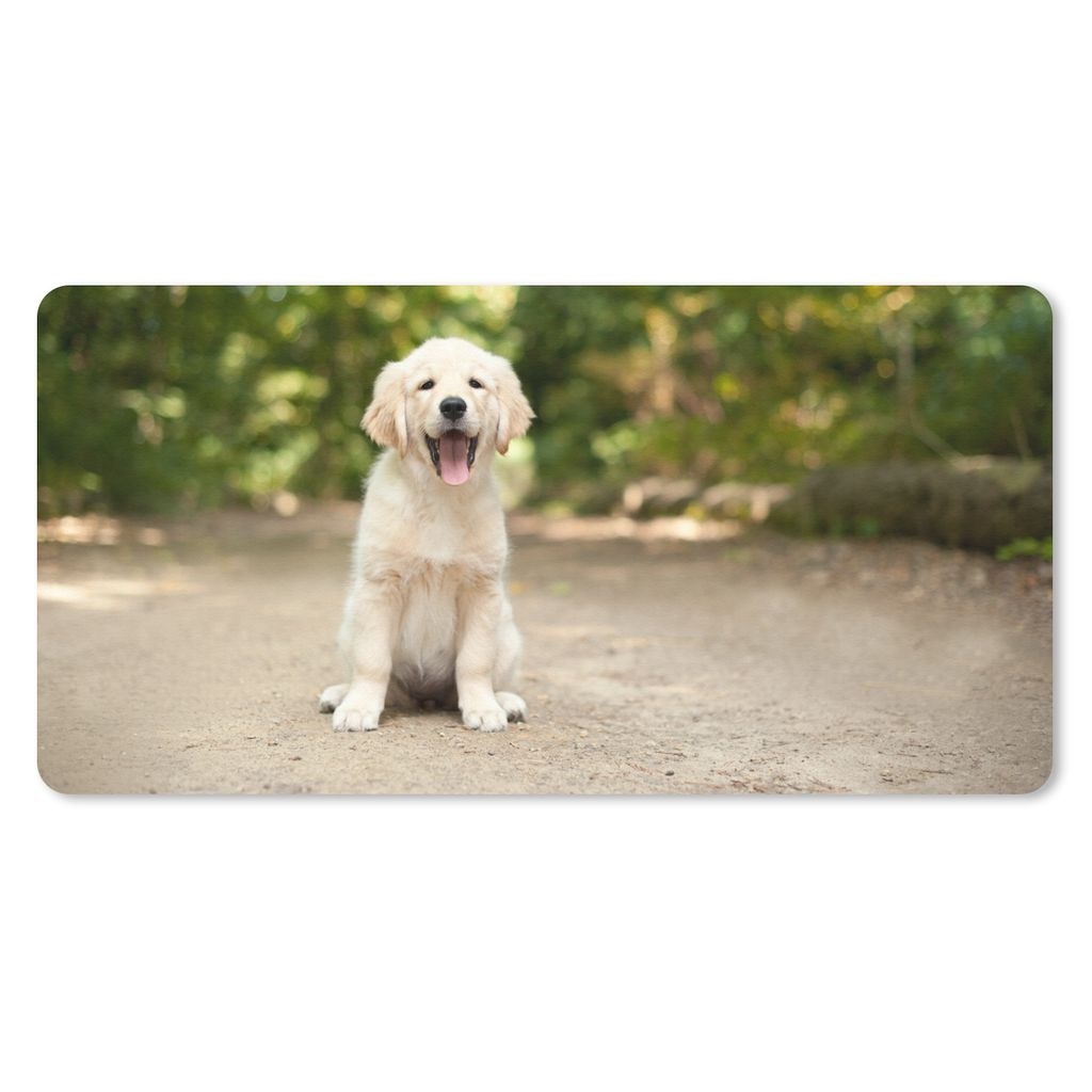MuchoWow Mauspad Mousepad Labrador Retriever Welpe sitzt auf einem Waldweg 60x30 cm - Mousepads - Maus Mat - Pad - Mausunterlage - Nachhaltig