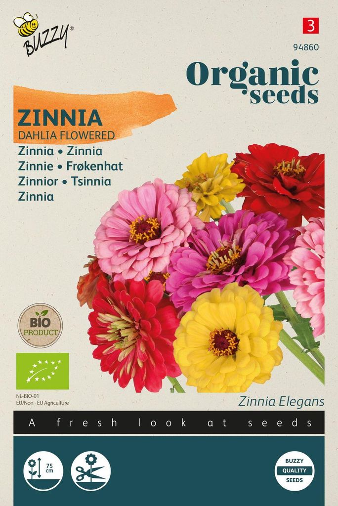 Zinnie Gefüllte Dahlienblütige | Zinniensamen von Buzzy Seeds