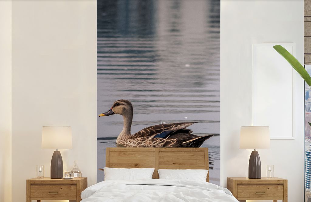 MuchoWow Fototapete für Wohnzimmer oder Schlafzimmer Wandtapete Vinyl Motivtapete Ente - Wasser - Vogel - Braun - 120x240 cm - Hintergrundbild