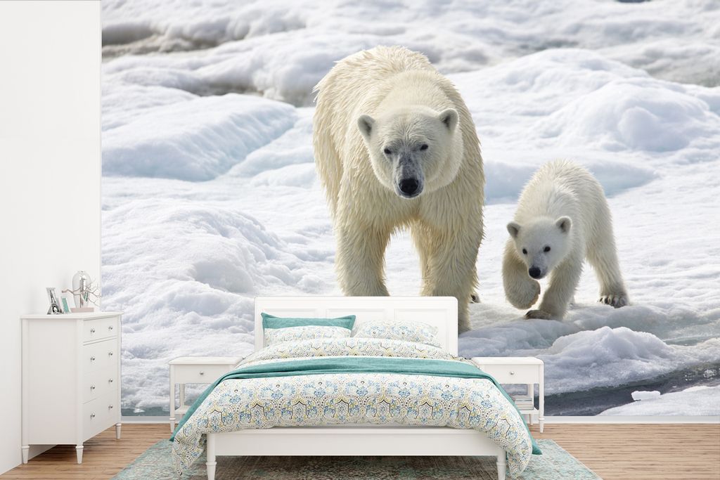 MuchoWow Fototapete für Wohnzimmer oder Schlafzimmer Wandtapete Vinyl Motivtapete Eisbär - Jungtier - Baby - 420x280 cm - Zimmer für Kinder