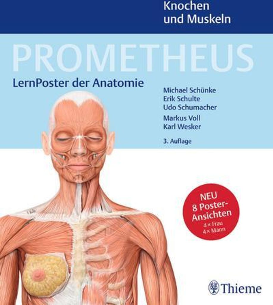 PROMETHEUS LernPoster der Anatomie, Knochen und Muskeln