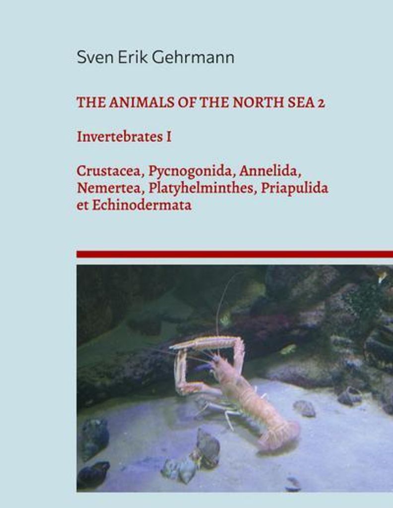 The Animals Of The North Sea 2