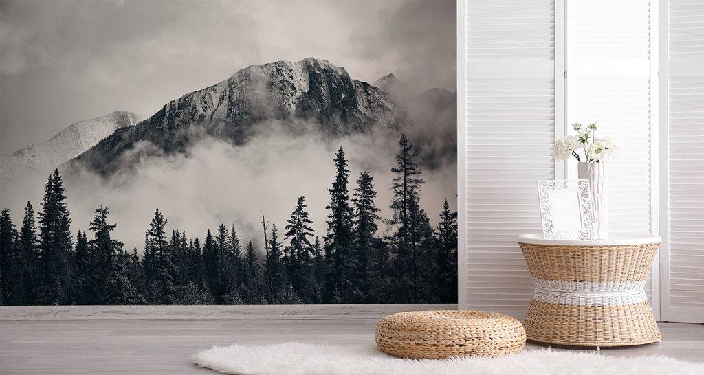 Fototapete Vlies Tapete Wald im Nebel 270 cm (B) x 180 cm (H) Wandbild Wanddeko