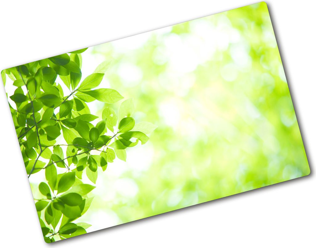 Tulup Glas Herdabdeckplatte - 80x52 cm - Glaskeramikkochfeld-Abdeckung Spritzschutz Glasabdeckplatte - Einteilig - Blumen & Pflanzen - Blätter - G...