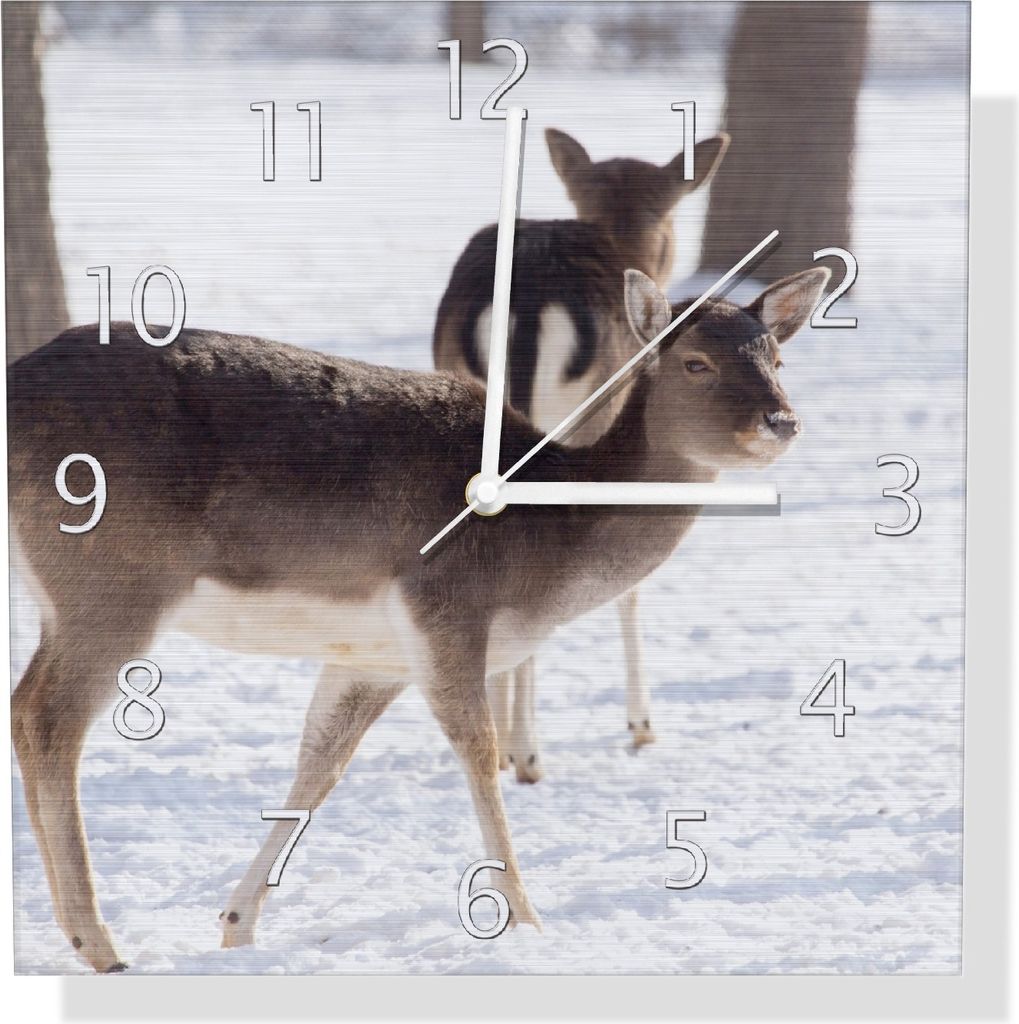 Wallario Design Wanduhr Zwei junge Elche im Schnee in Arizona - Amerika aus Aluverbund, Größe 30 x 30 cm