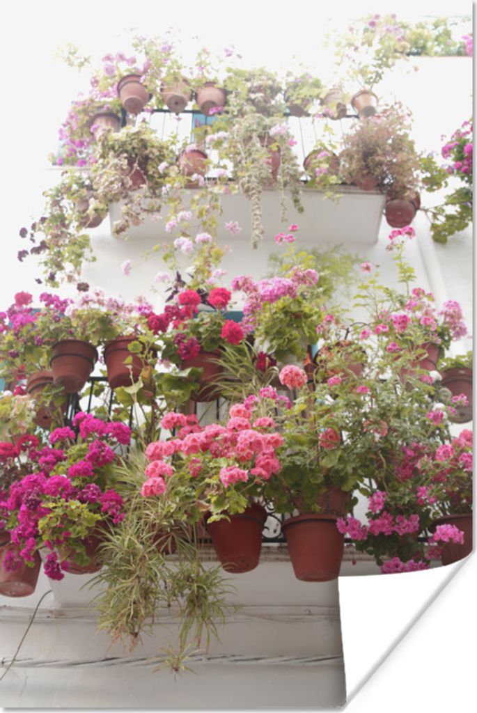 MuchoWow Poster Geranienblüten auf einem Balkon 40x60 cm - Plakate für die Wand - Poster Babyzimmer