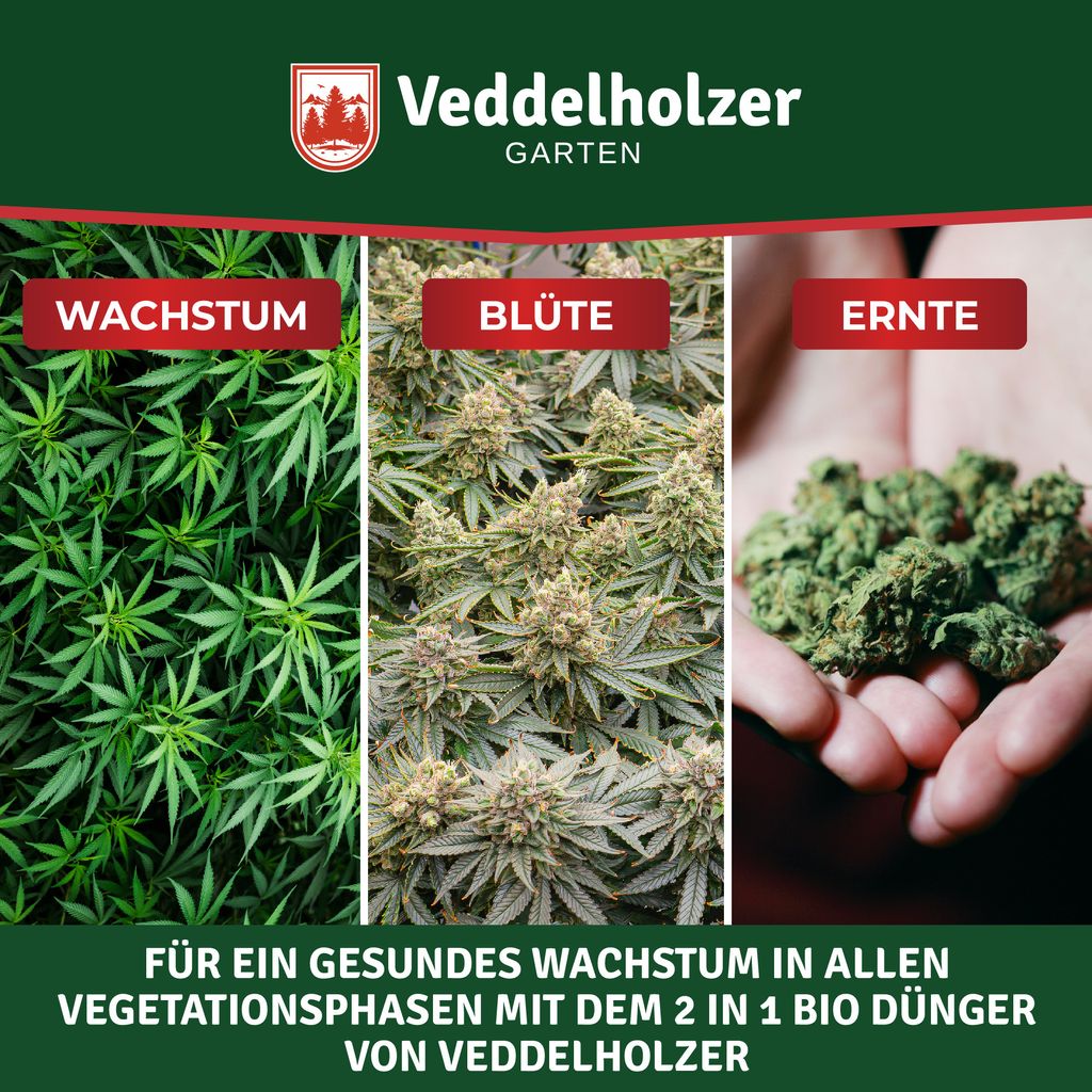 sukkulenten dünger Azet Kakteen- & SukkulentenDünger flüssig – Neudorff Shop main image 0