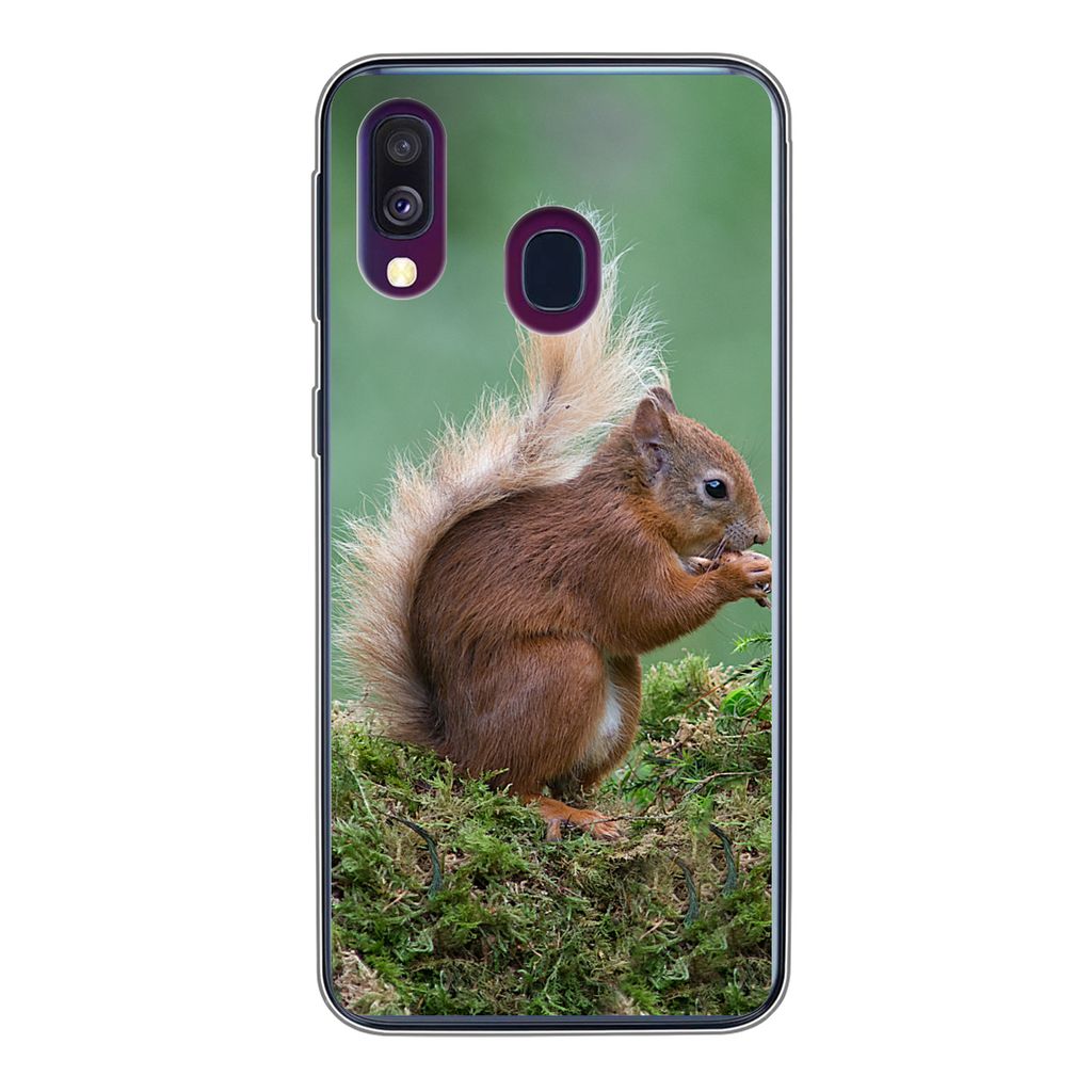 MuchoWow Handyhülle Schutzhülle Hülle für Samsung Galaxy A40 Waldtier - Eichhörnchen - Moos Silikon Softcase Handy Hülle - Handy-Tasche