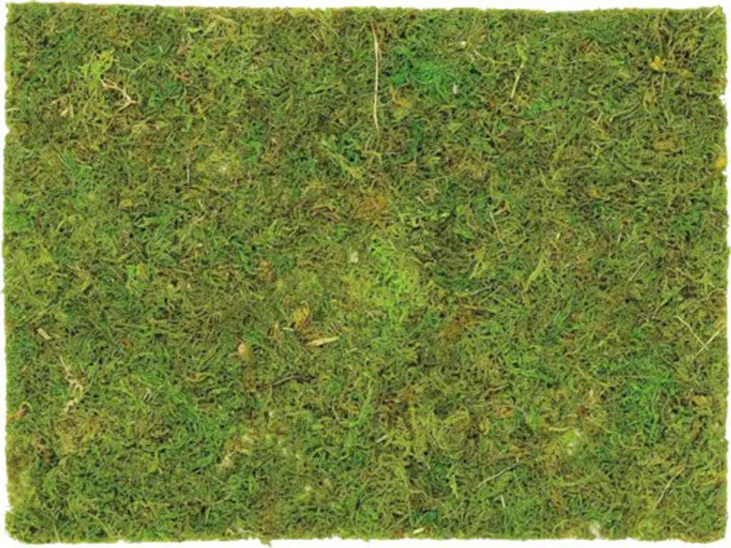 Moosplatte auf Netz grün 40x30 cm
