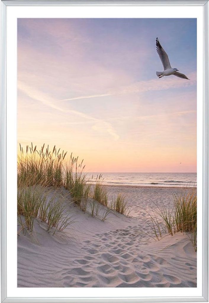 A serene beach scene at sunset with a path leading to the ocean and a seagull flying overhead.