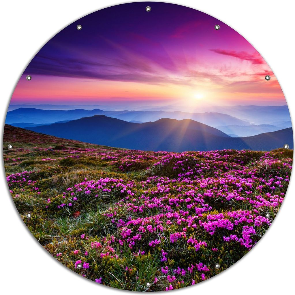 Wallario rundes Outdoor-Poster für Garten oder Balkon, Motiv Blumenbedeckte Wiese bei Sonnenuntergang, 120 cm Durchmesser