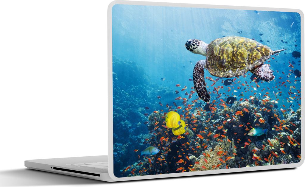 MuchoWow Laptop Aufkleber Sticker Cover Schildkröte am Korallenriff 36.5x27.5 cm - Laptop-Sticker