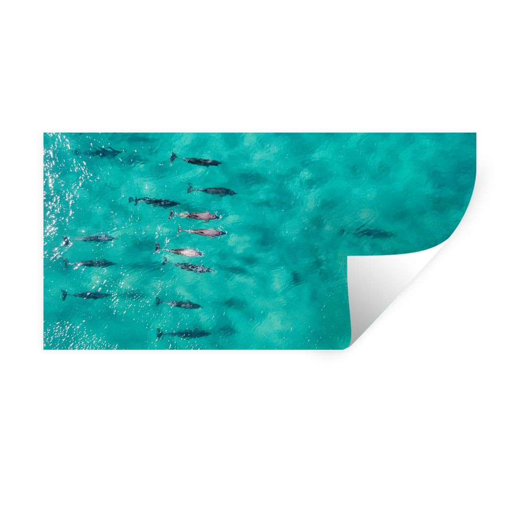 MuchoWow Wandtattoo Wandsticker Wandaufkleber Delfin - Wild - Tiere 40x20 cm Selbstklebend und Repositionierbar - Aufkleber