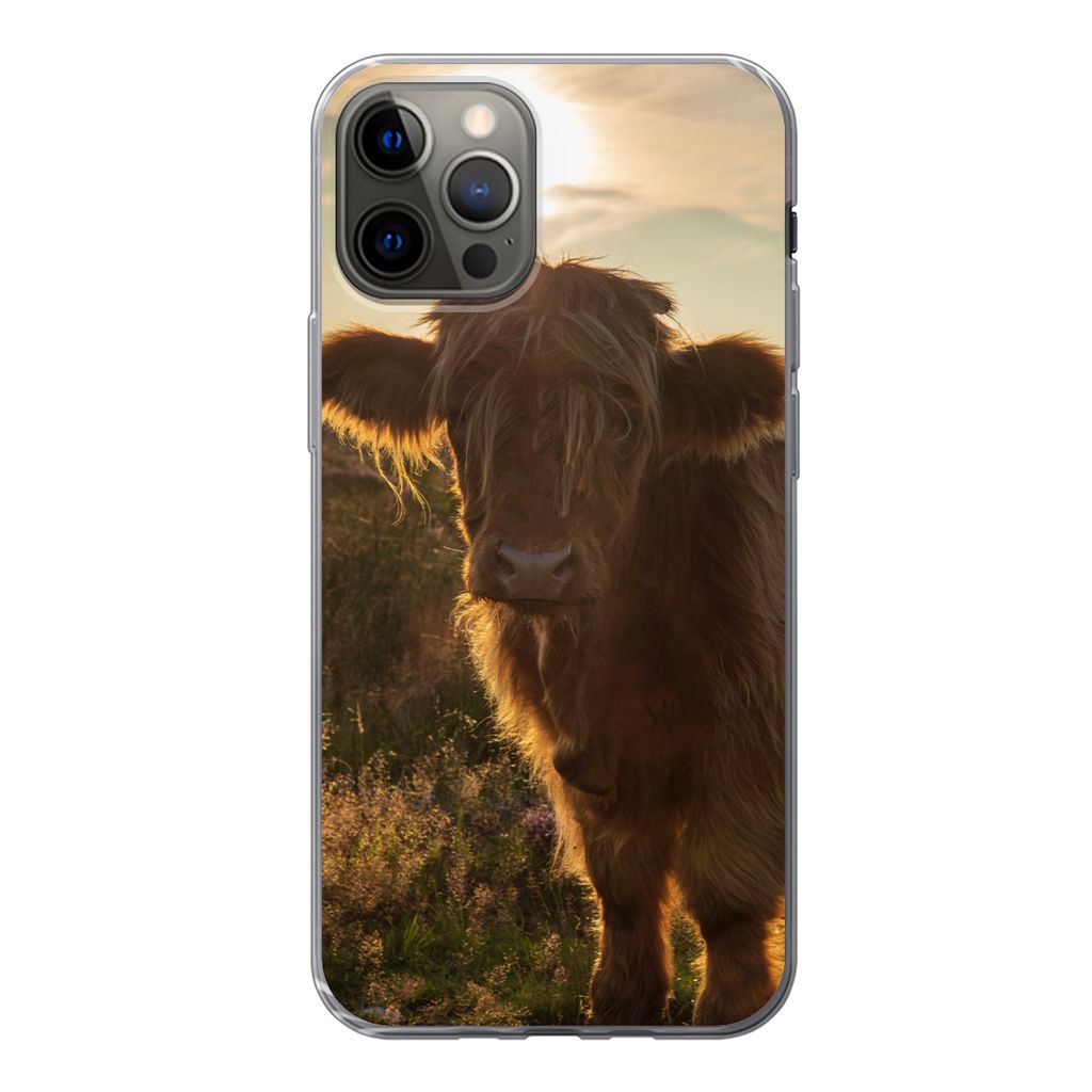 MuchoWow Handyhülle Schutzhülle Hülle für iPhone 12 Pro Schottischer Highlander - Sonnenuntergang - Gras Silikon Softcase Handy Hülle - Abde...