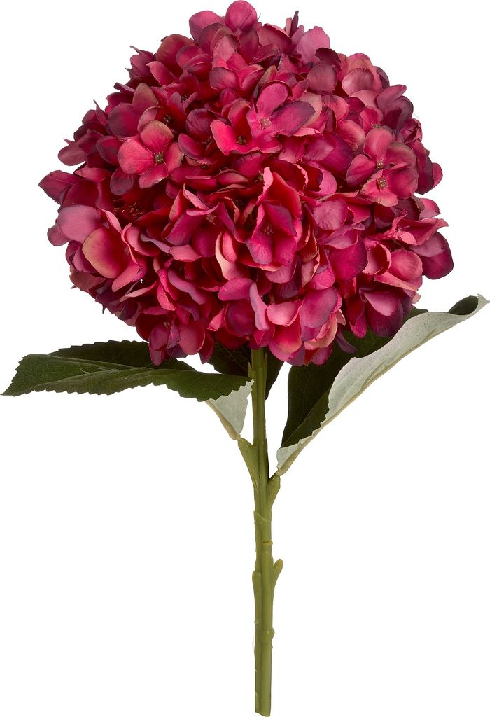 Hill Interiors - Kunstblume, Hortensie HI2902 (Einheitsgröße) (Rubinrot)