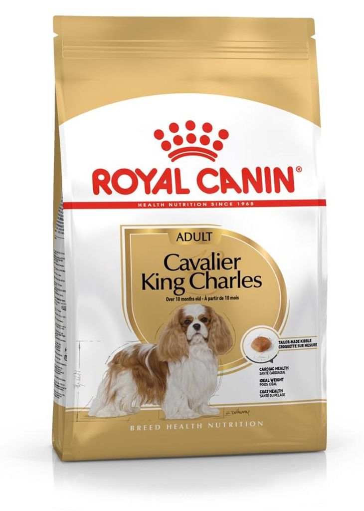 Royal Canin Cavalier King Charles Adult, Dorosły, Cavalier Zdjęcie produktu 