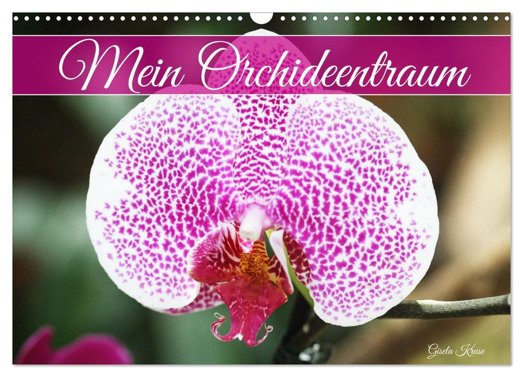 Mein Orchideentraum (Wandkalender 2027 DIN A3 quer), CALVENDO Monatskalender