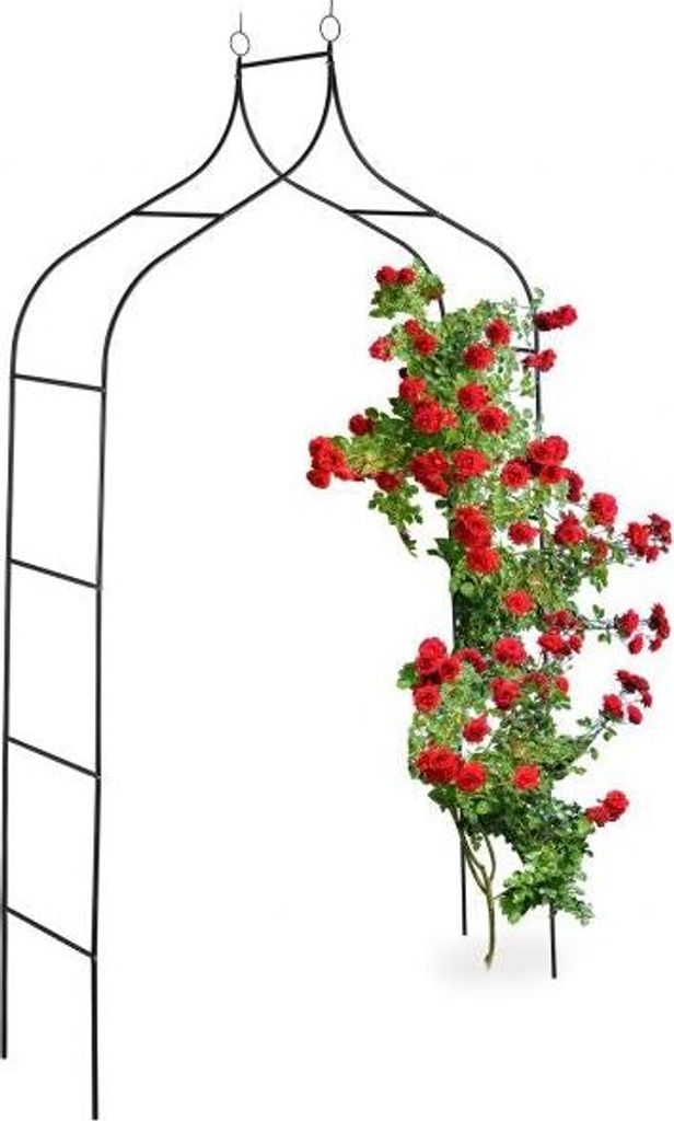 Arc de roses de 255 cm de haut Image du produit 