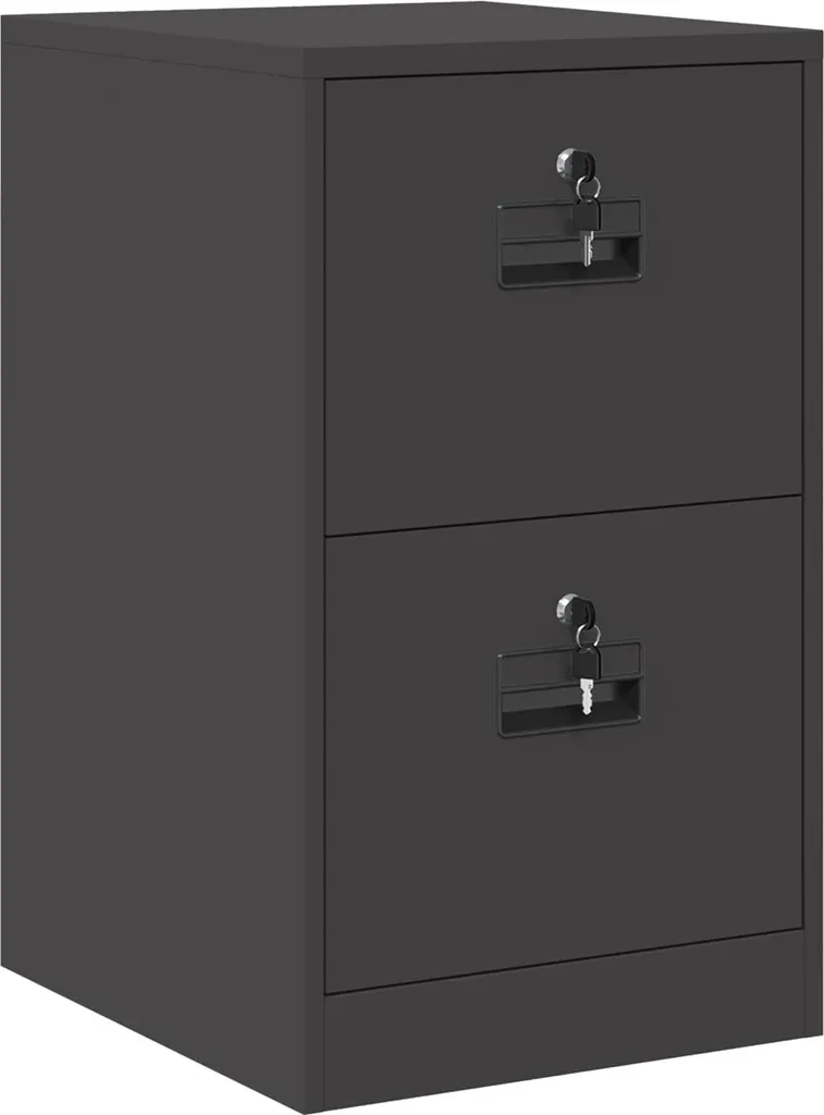 Recensione Armadio Archivio vidaXL Nero 106,5 cm | Acciaio per Garage