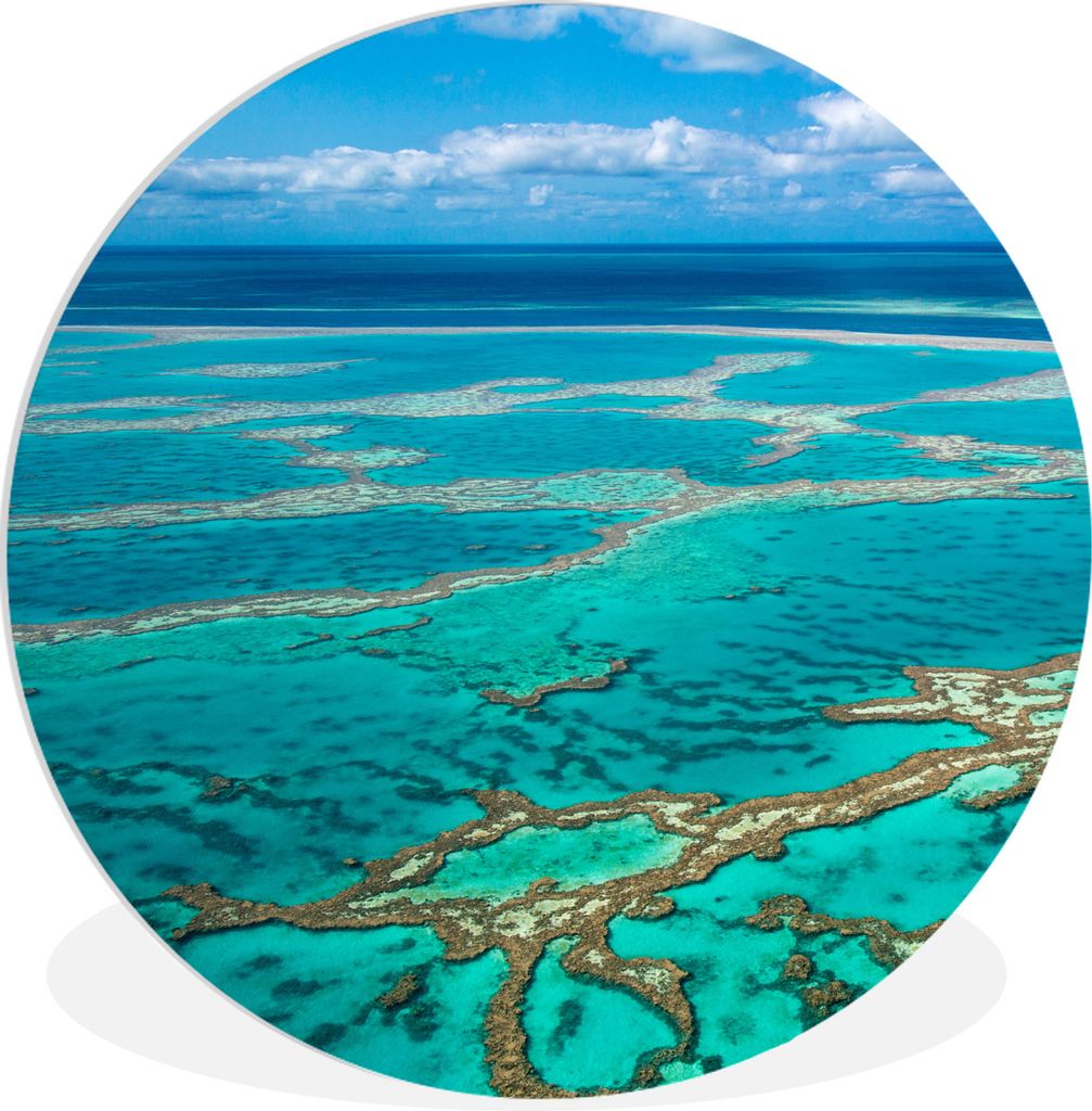 MuchoWow Rundes Wandbild - Runde Bilder Fotodruck Great Barrier Reef Ø 60 cm Kreis Wanddekoration Kunststoff - Wandkreis - Wandschmuck - Wand Kr...