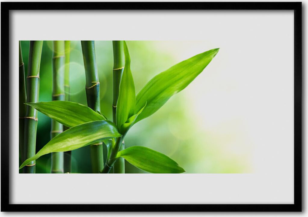 Bild 70x50 MDF-Rahmen Wandkunst Bambusblatt Natur Pflanze