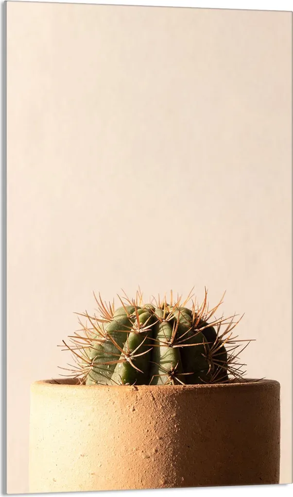 Copripiano Cottura 30x52 Tagliere Vetro Ceramicato Cactus Beige
