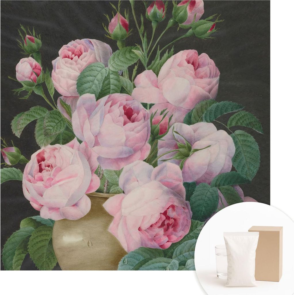 Fototapete - Wandbilder für Wohnzimmer - 250x250 cm - Dekorative Wandfolie - Modernes Design für Wanddekoration - Tapeten für Innenräume - Flor...