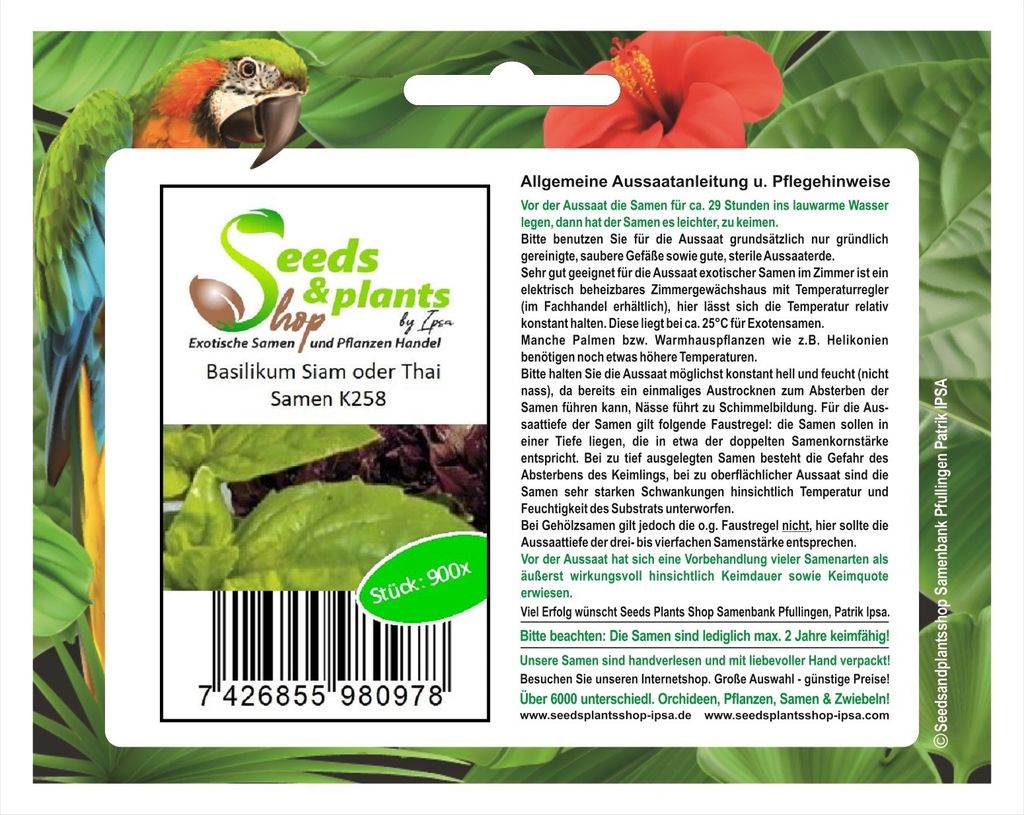 900x Basilikum Siam oder Thai Ocimum basilicum Saatgut Pflanzen - Samen K258